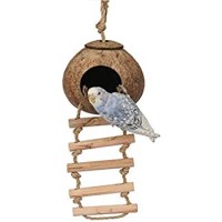 Amazon natural coconut shell balancing bird toy with ladder and bird nest house swing